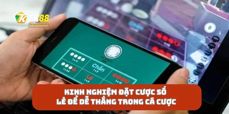 Kinh Nghiệm Đặt Cược Số Lẻ Để Dễ Thắng Trong Cá Cược