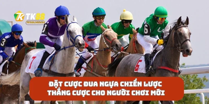 Đặt Cược Đua Ngựa Chiến Lược Thắng Cược Cho Người Chơi Mới